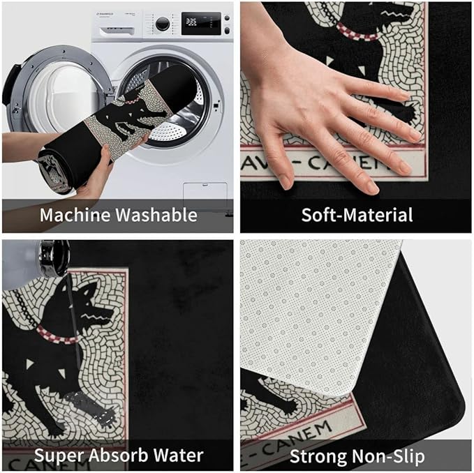 Cave Canem Durable Doormat Indoor Outdoor Entrance Door Mat Bath Rug Decorative Patio Garage Garden Kitchen Door Mats Porch Gifts Mats 24 x16 Inch
