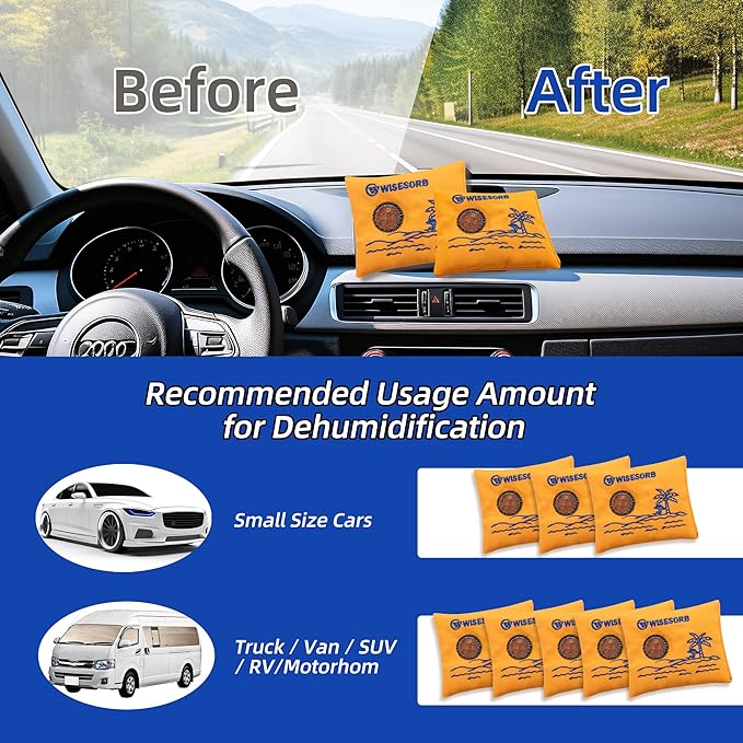Wisesorb 100gx5pcs Rechargeable Desiccant Packs for Storage, Reusable Dehumidifier Bags Visible Color Indicating Silica Gel Packets Moisture Absorbers for Safe Closet 3D Filaments Electronics Camera