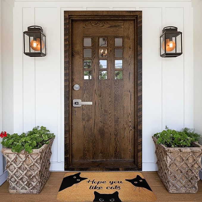 Welcome Glad to See Your Back, Funny Chiropractor Doormat, Welcome Mat, Funny Door Mat,Business Doormat,Chiropractor Gift,Chiropractic Decor Home Kitchen Balcony Decoration 16x24 Inch