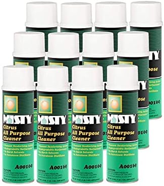 MISTY Citrus All-Purpose Cleaner - 19 oz (Case of 12) 1001583 - Biodegradable Aerosol, For Indoor and Outdoor Use, Fresh Citrus Scent