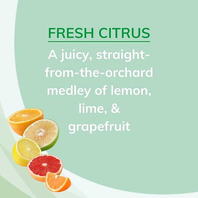 Citrus Magic Odor Absorbing Solid Air Freshener, Fresh Citrus, 20-Ounce (Pack of 6)
