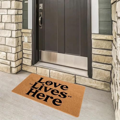 Funny Welcome Doormat Love Lives Here Doormats for Entrance Doormat Personalized Non Slip Rubber Mat for Front Door House Warming Gift Mats Kitchen Rugs and Mats 16x24 inch