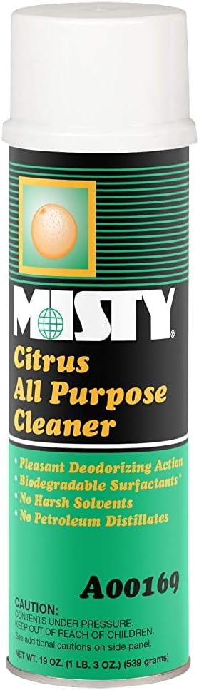 MISTY Citrus All-Purpose Cleaner - 19 oz (Case of 12) 1001583 - Biodegradable Aerosol, For Indoor and Outdoor Use, Fresh Citrus Scent