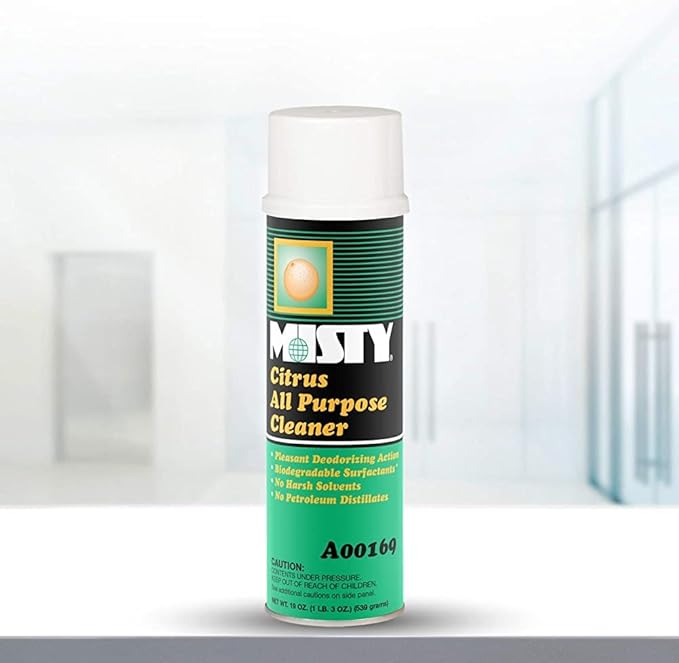 MISTY Citrus All-Purpose Cleaner - 19 oz (Case of 12) 1001583 - Biodegradable Aerosol, For Indoor and Outdoor Use, Fresh Citrus Scent