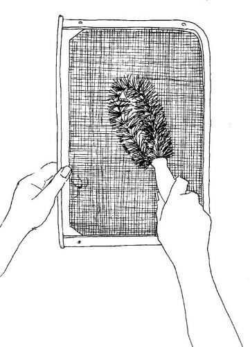 Brushtech Clothes Dryer Lint Screen Brush B304C