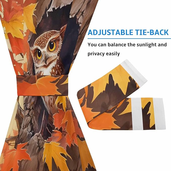 French Door Curtain Panel for Front Door, Cartoon Owl Maple Tree Hole Fall Slidelight Door Curtains with Tieback Light Filtering Privacy Panels for Doorway Entryway 25"x 40"
