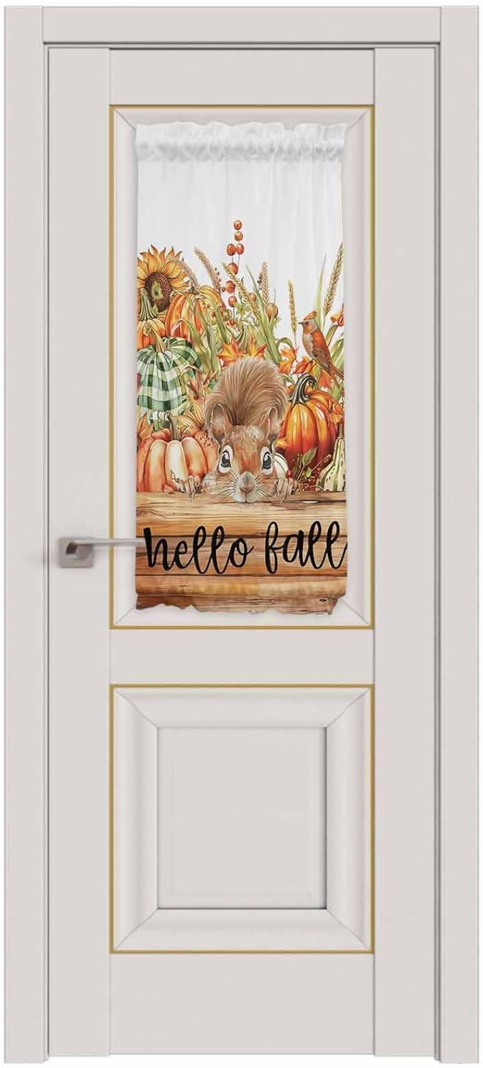 French Door Curtain Panel for Front Door, Fall Harvest Pumpkins Squirrel Wood Board Slidelight Door Curtains with Tieback Light Filtering Privacy Panels for Doorway Entryway 25"x 40"