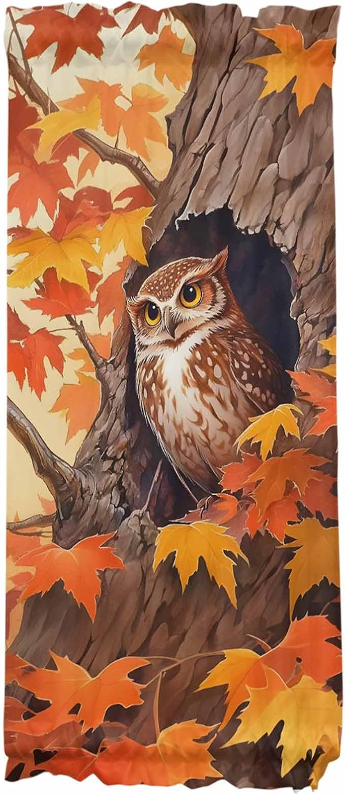 French Door Curtain Panel for Front Door, Cartoon Owl Maple Tree Hole Fall Slidelight Door Curtains with Tieback Light Filtering Privacy Panels for Doorway Entryway 25"x 40"