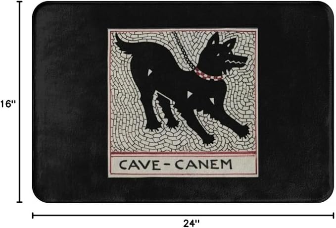 Cave Canem Durable Doormat Indoor Outdoor Entrance Door Mat Bath Rug Decorative Patio Garage Garden Kitchen Door Mats Porch Gifts Mats 24 x16 Inch