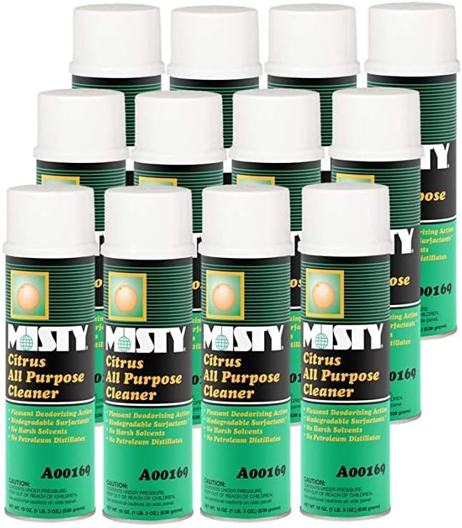 MISTY Citrus All-Purpose Cleaner - 19 oz (Case of 12) 1001583 - Biodegradable Aerosol, For Indoor and Outdoor Use, Fresh Citrus Scent