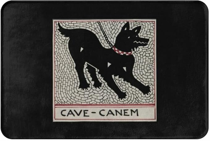 Cave Canem Durable Doormat Indoor Outdoor Entrance Door Mat Bath Rug Decorative Patio Garage Garden Kitchen Door Mats Porch Gifts Mats 24 x16 Inch