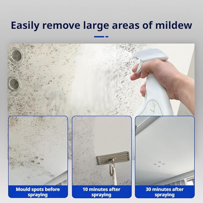 Wall Mold Remover Spray - Multi Surface Cleaning Solution for Painted Walls, Wood, Tile & Fabric, Highly Effective Stain & Dust Remover for Bathroom & Kitchen, Long Lasting Protection (1pcs)