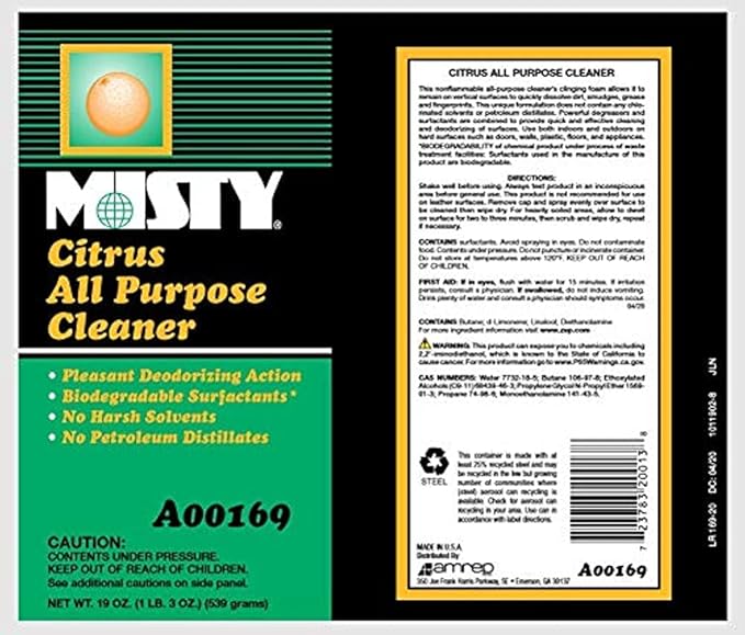 MISTY Citrus All-Purpose Cleaner - 19 oz (Case of 12) 1001583 - Biodegradable Aerosol, For Indoor and Outdoor Use, Fresh Citrus Scent