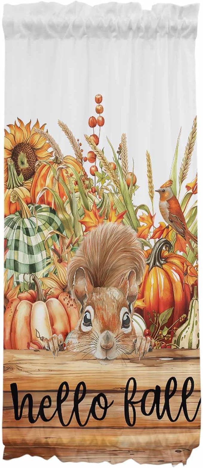 French Door Curtain Panel for Front Door, Fall Harvest Pumpkins Squirrel Wood Board Slidelight Door Curtains with Tieback Light Filtering Privacy Panels for Doorway Entryway 25"x 40"