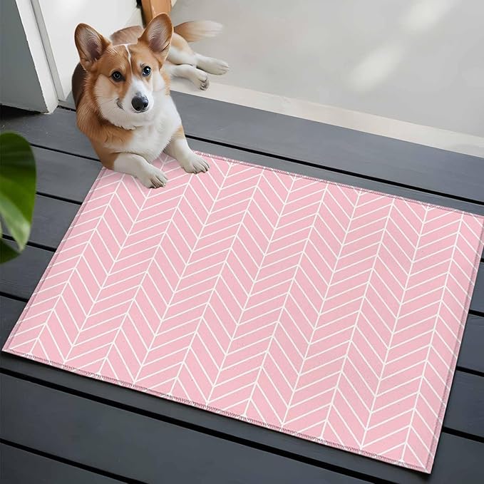 Pink Herringbone Stripes Entryway Rug 2'x3', Modern Abstract Geometric Pink Simple Lines Small Area Rug Non-Slip Front Door Mat Washable Floor Carpet for Indoor Entrance Kitchen Bathroom