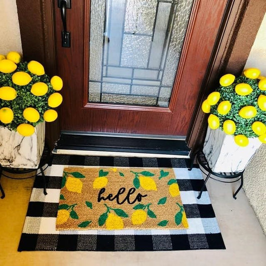 Front Door Mat Funny Doormat Lemon Doormat, Outdoor Welcome Mat, Housewarming Gift, Lemon Decor, Summer Doormat, Garden Decor, Closing Gift Outdoor Doormat 24X16 Inch