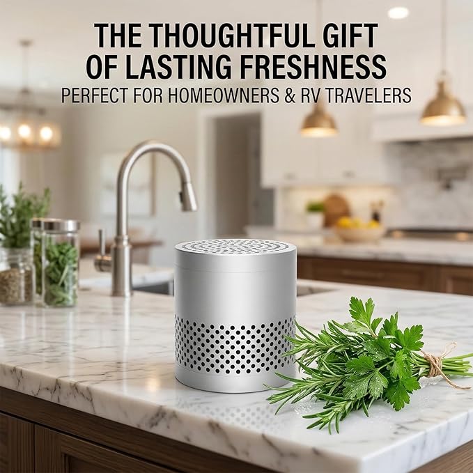 Freshcore Refrigerator Deodorizer Odor Eliminator | Fridge Deodorizer – Lasts 10 Years, Long-Lasting Odor Eliminator - More Effective Than Baking Soda, Charcoal Bags (Stainless Steel)