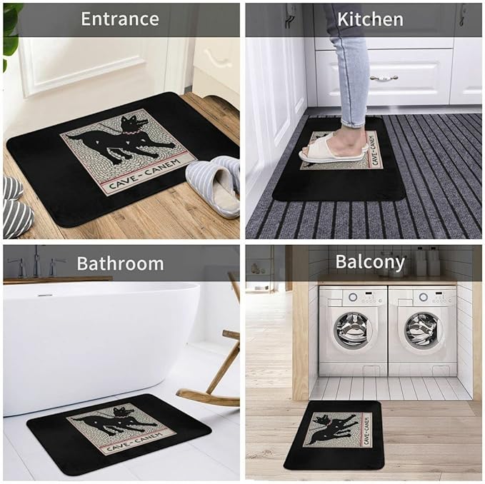 Cave Canem Durable Doormat Indoor Outdoor Entrance Door Mat Bath Rug Decorative Patio Garage Garden Kitchen Door Mats Porch Gifts Mats 24 x16 Inch