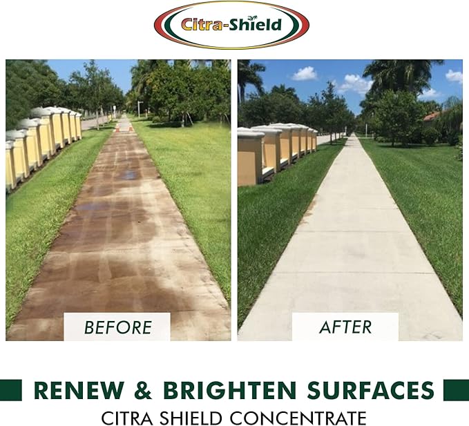 Natural, Powerful Outdoor Cleaner, Multi-Use Formula, Powers Through Stains on Decks, Siding, Fences, Concrete, and More (1)