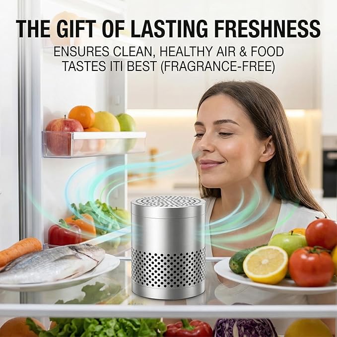 Freshcore Refrigerator Deodorizer Odor Eliminator | Fridge Deodorizer – Lasts 10 Years, Long-Lasting Odor Eliminator - More Effective Than Baking Soda, Charcoal Bags (Stainless Steel)