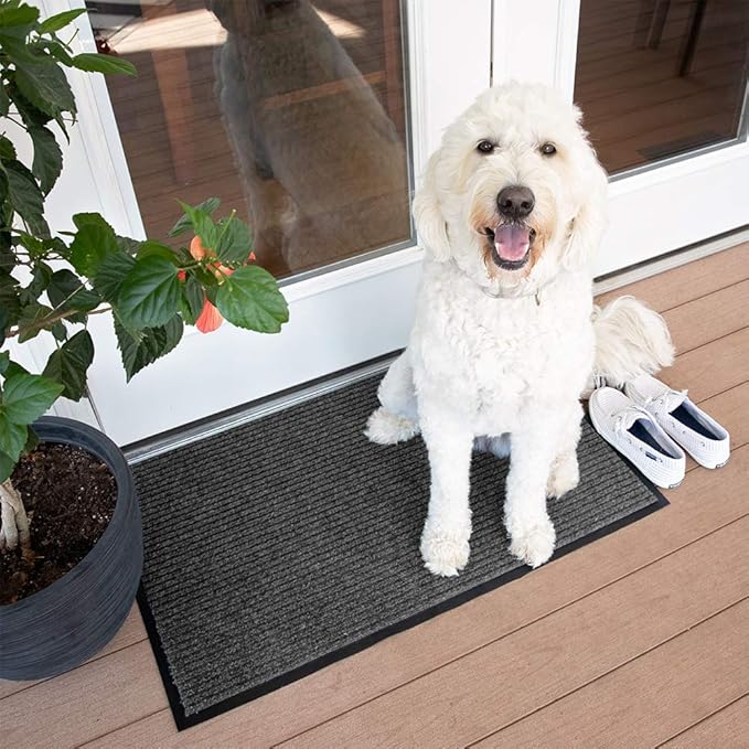 Notrax 109 Brush Step Carpeted Indoor/Outdoor Entrance Mat for Home or Office, 3' X 10', Absorbent Slip Resistant Heavy Duty Entry Mat, Charcoal, 109S0310CH