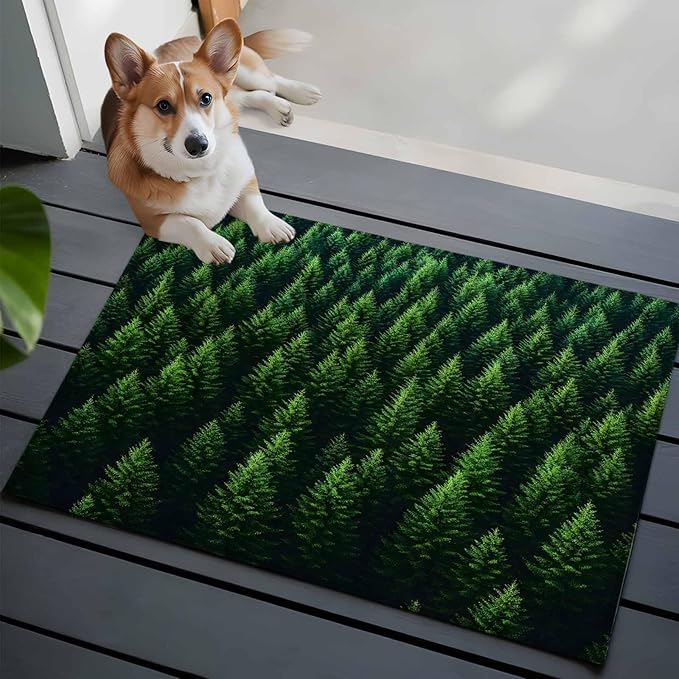 Green Forest Entryway Rug 2'x3', Pine Trees Forest Landscape Style Summer Small Area Rug Non-Slip Front Door Mat Washable Floor Carpet for Indoor Entrance Kitchen Bathroom