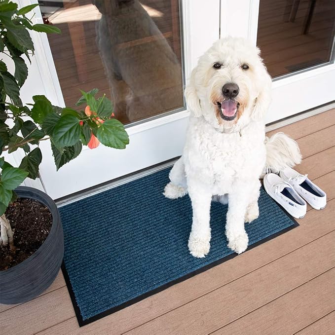 Notrax 109 Brush Step Carpeted Indoor/Outdoor Entrance Mat for Home or Office, 3' X 4', Absorbent Slip Resistant Heavy Duty Entry Mat, Slate Blue, 109S0034BU