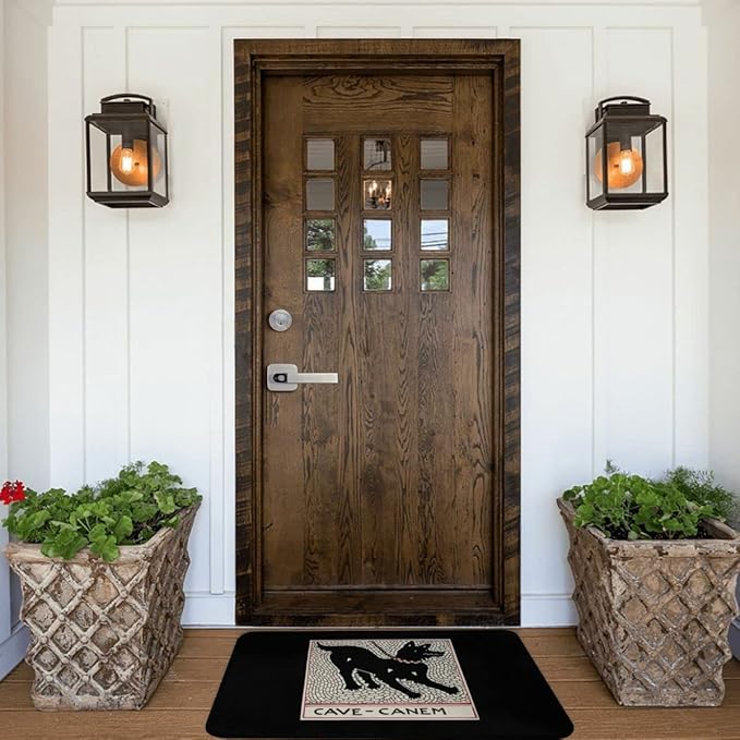 Cave Canem Durable Doormat Indoor Outdoor Entrance Door Mat Bath Rug Decorative Patio Garage Garden Kitchen Door Mats Porch Gifts Mats 24 x16 Inch