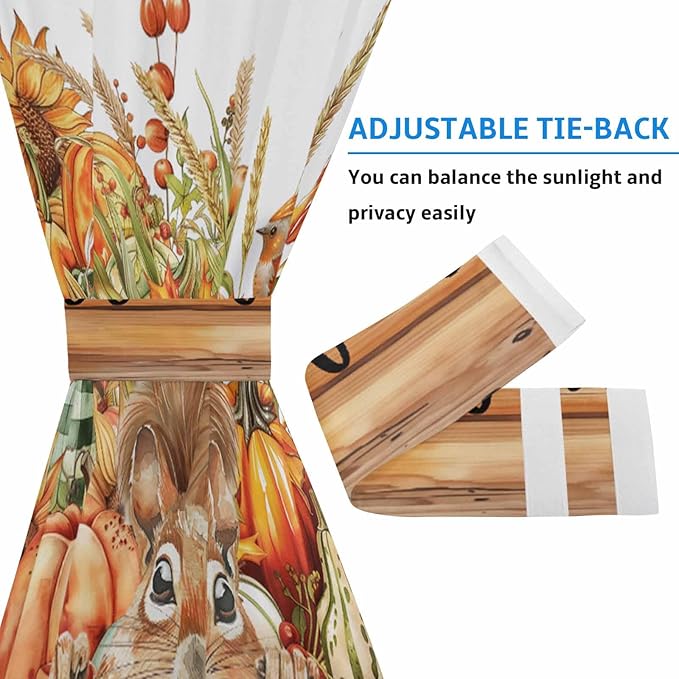 French Door Curtain Panel for Front Door, Fall Harvest Pumpkins Squirrel Wood Board Slidelight Door Curtains with Tieback Light Filtering Privacy Panels for Doorway Entryway 25"x 40"
