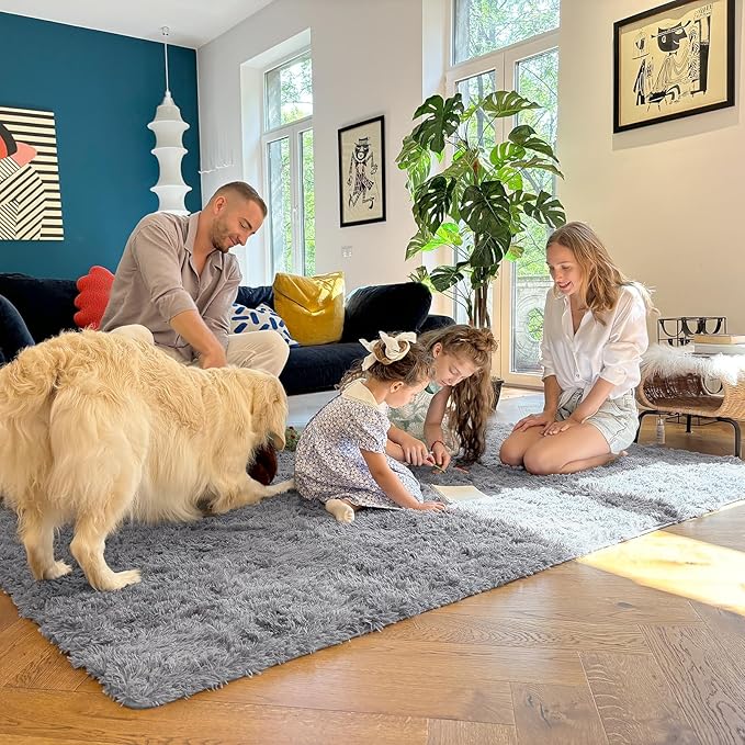 OLANLY 6x6 Area Rugs for Living Room Bedroom, Machine Washable Soft Fluffy Shaggy Bedside Rug, Indoor Floor Carpet for Kids Girls and Boys, Dorms, Nursery Rooms, Home Decor Aesthetic, Light Grey