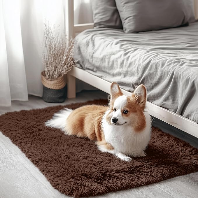 OLANLY 2x3 Machine Washable Small Bedside Rug, Soft Fluffy Shaggy Entryway Throw Rugs for Bedroom, Living Room, Indoor Floor Carpet for Kids Girls Boys, Nursery Rooms, Home Decor Aesthetic, Coffee