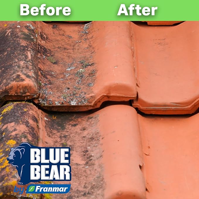 Blue Bear EBC Exterior Building Cleaner - Natural Fruit Acid Concentrate for Brick, Stone, Concrete & Metal-Removes Efflorescence, Lime Residue, Moss, Algae & Dirt - Low VOC, Biodegradable (1 Quart)