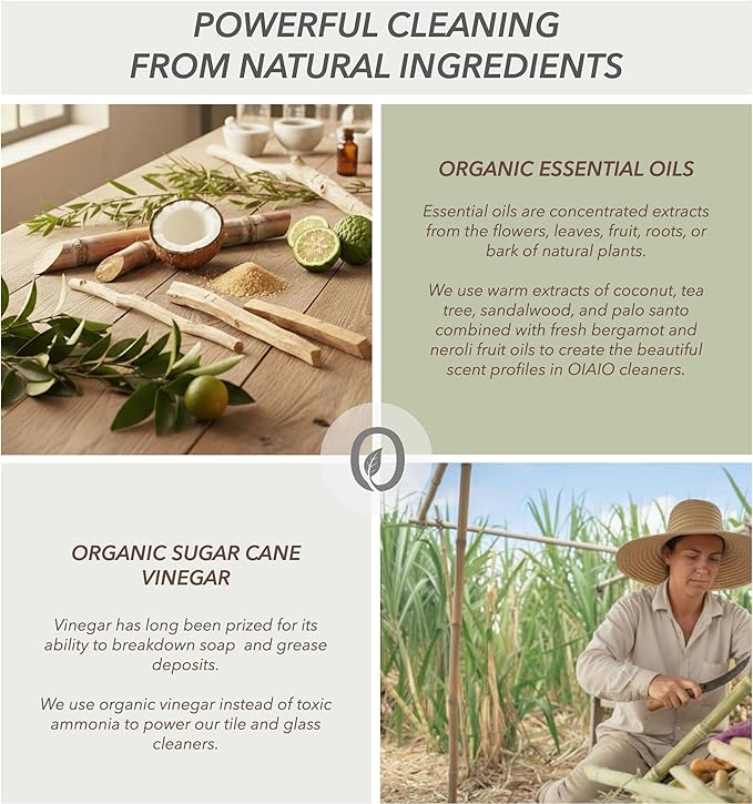 Non-Toxic Kitchen Cleaner 3 Pack (Stone, Steel, Glass) - Natural Organic Ingredients that Truly Perform - Light Coconut, Tea Tree & Wood Scent