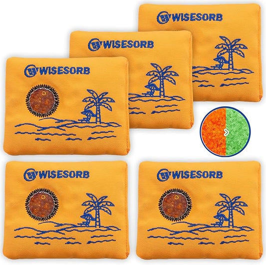 Wisesorb 100gx5pcs Rechargeable Desiccant Packs for Storage, Reusable Dehumidifier Bags Visible Color Indicating Silica Gel Packets Moisture Absorbers for Safe Closet 3D Filaments Electronics Camera