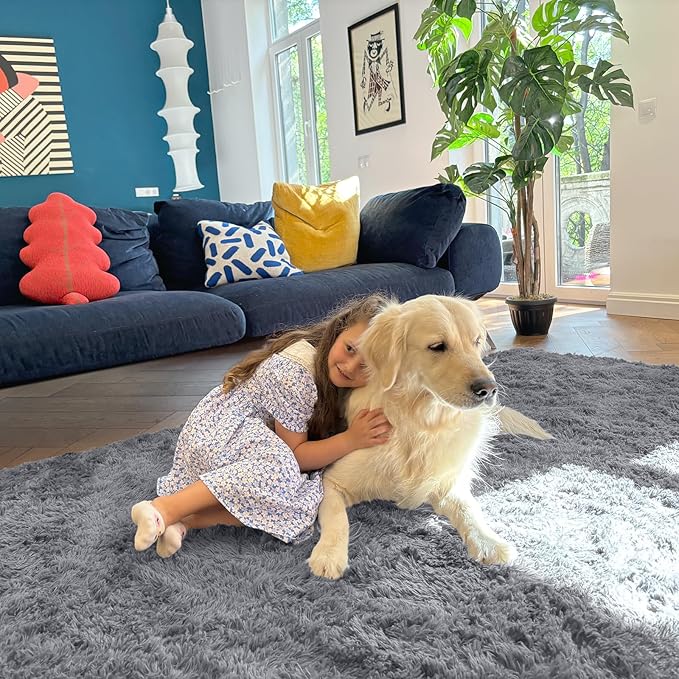 OLANLY 5x8 Machine Washable Large Area Rugs for Living Room, Bedroom, Soft Fluffy Shaggy Bedside Rug, Indoor Floor Carpet for Kids Girls and Boys, Dorms, Nursery, Home Decor Aesthetic, Light Grey