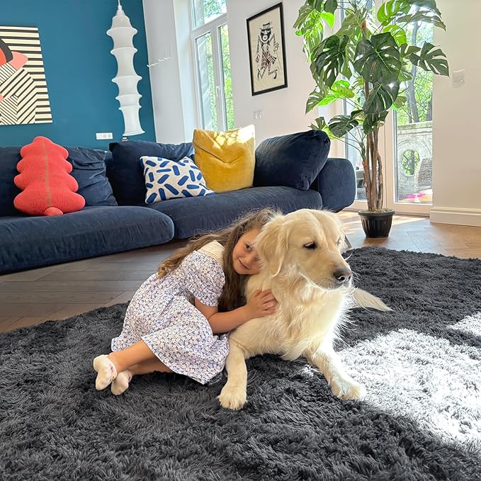 OLANLY 5x6 Area Rugs for Living Room Bedroom, Machine Washable Soft Fluffy Shaggy Bedside Rug, Indoor Floor Carpet for Kids Girls and Boys, Dorms, Nursery Rooms, Home Decor Aesthetic, Grey