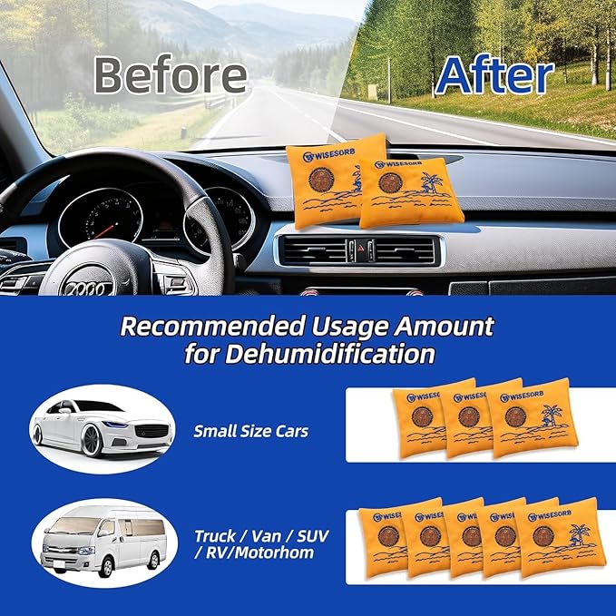 Wisesorb 100gx10pcs Rechargeable Desiccant Packs for Storage, Reusable Dehumidifier Bags Visible Color Indicating Silica Gel Packets Moisture Absorbers for Safe Closet 3D Filaments Electronics Camera