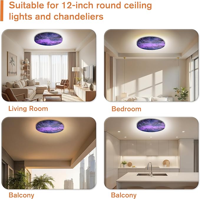 12" Ceiling Light Cover, 4 Pcs Flush Mount Light Fixture Cover, Fabric Ceiling Light Fixture Cover, Light Filters for Bedroom, Kitchen, Hallways/Entryways, Office, Basement (Dreamgrove)