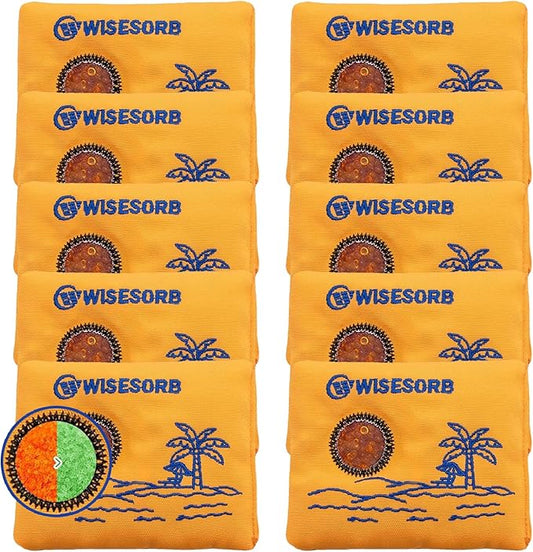 Wisesorb 100gx10pcs Rechargeable Desiccant Packs for Storage, Reusable Dehumidifier Bags Visible Color Indicating Silica Gel Packets Moisture Absorbers for Safe Closet 3D Filaments Electronics Camera