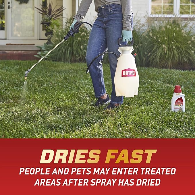 Ortho Home Defense Insect Killer for Indoor and Perimeter Concentrate - Kills Ants, Cockroaches and Spiders, 32 fl. oz.(Pack of 2)