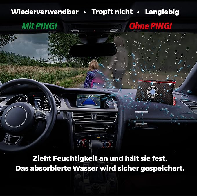 Pingi Dehumidifier Car and Home - Absorbs Moisture Condensation Damp Keeping Windscreens Clear - 100% Leakproof & Reusable Bag - 1 x 300g